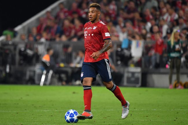 精品视频一区二区三区在线观看
