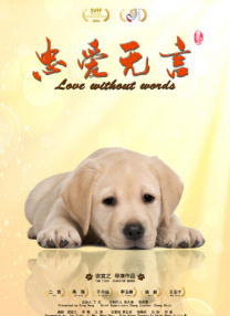 成年人午夜电影