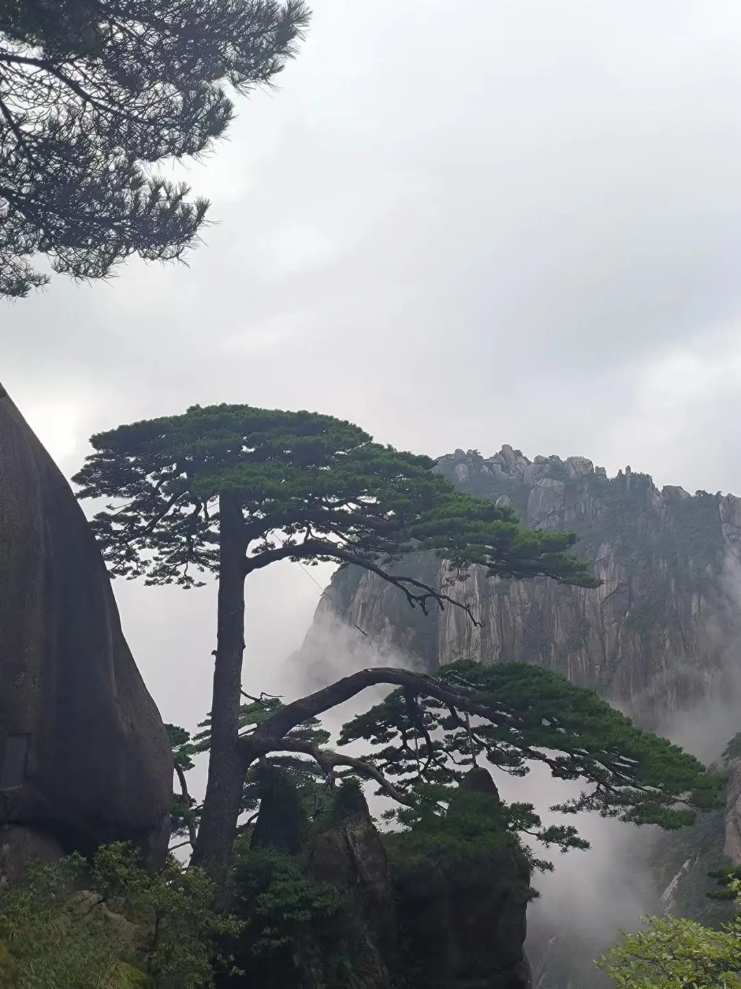 图片 图片